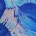 Tattoos - Blue skulls - 59095